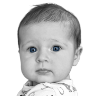 Amelia